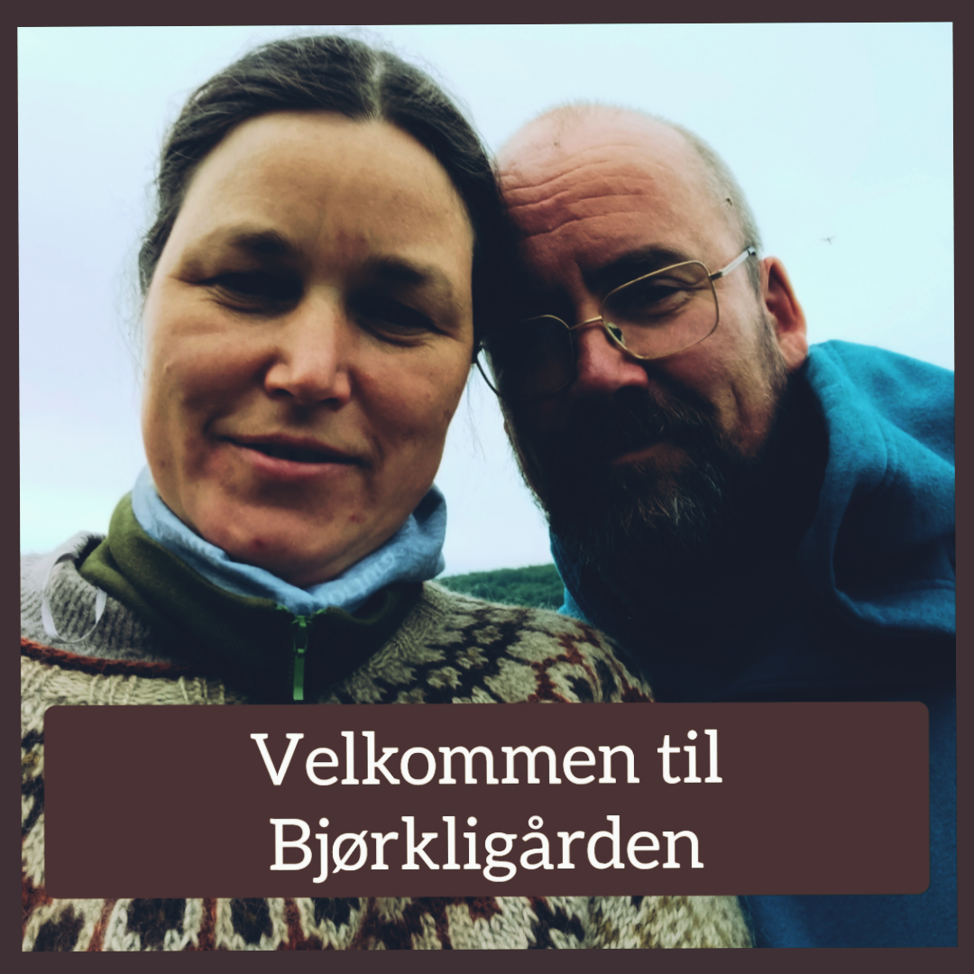 Vi er Maiken Cecilie og Jørgen Bjørkli. Vi er fjerde generasjons drivere i slekten.